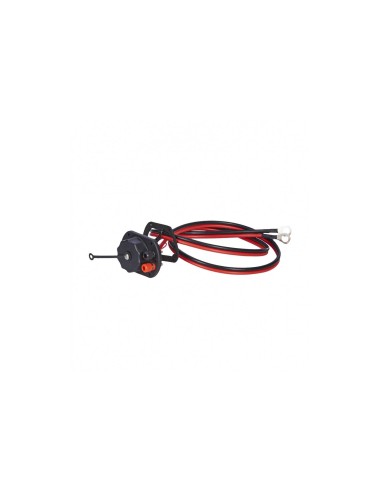 Kayak paddle leash with compass