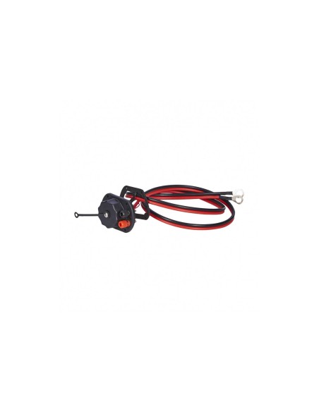 Kayak paddle leash with compass
