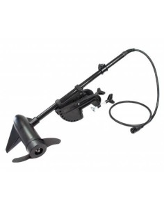 Motor para Pato 3Li 12,6V 30LB 2