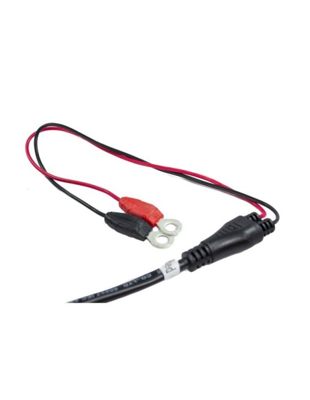 Cargador 3Li  LIFEPO4 12V - 5A