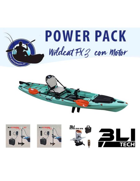 Wildcat fx