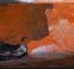 Orange Camo